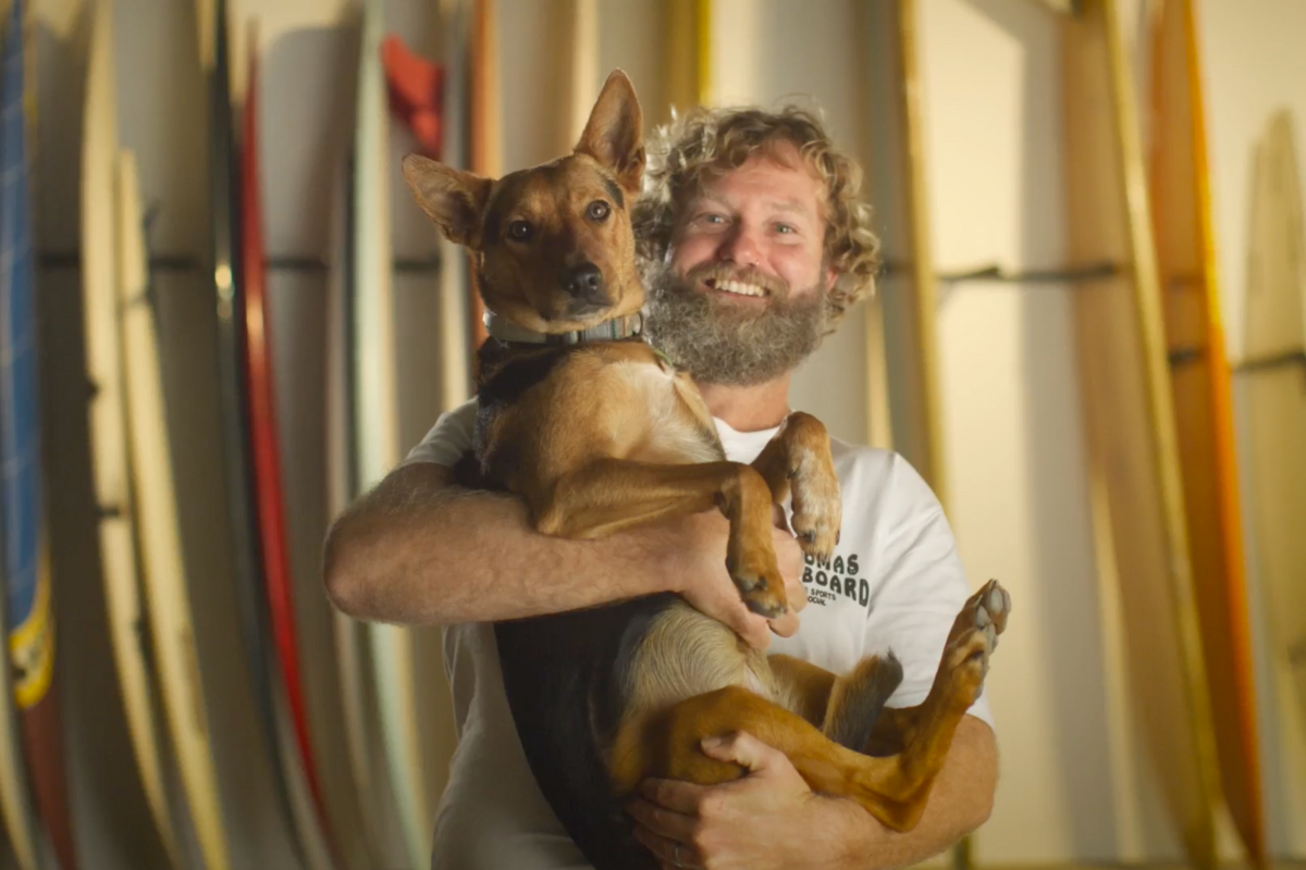 Thomas bexon surfboards new arrivals