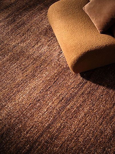 Indoor Rugs | Durable Living Room & Bedroom Rugs